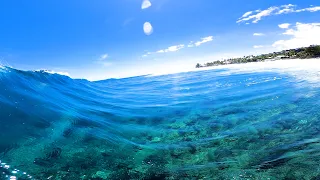 POV SURF : ALONE IN BLUE CRYSTAL CLEAR REEF