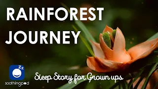 Bedtime Sleep Stories | 🌺 A Journey through Magical Rainforest 🌳 | Edutainment Relaxing Sleep Story