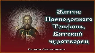 ✞ Преподобный Трифон, Вятский чудотворец (Ангелы земные)