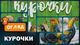 Курочки Настільна Гра Огляд