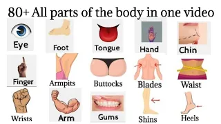80 Basic Parts Of Body | Body Parts Name In English | Listen And Practice #learnenglish #bodyparts