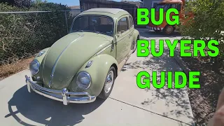 Classic VW BUG buyers guide what to know before you buy one