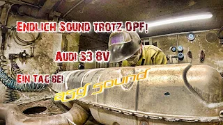 Full Day of ASG | Termin bei ASG Sound | So läuft das bei uns! | Audi S3 8V OPF | ASG Sound