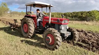 Massey Ferguson 188 plowing