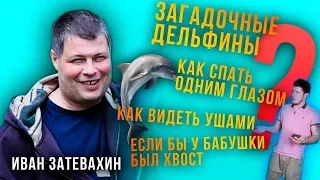 04 || Необыкновенные способности дельфинов - 15 главных фактов