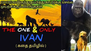 காட்டை தேடி சர்க்கஸ் விலங்குகளின் பயணம்|TVO|Tamil Voice Over|Dubbed Movies Explanation|Tamil Movies