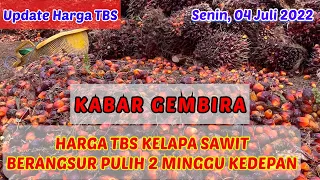 Harga TBS Kelapa Sawit Berangsur Naik