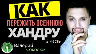 Осенняя хандра: Как пережить осенний сплин? Как бороться с осенней хандрой? Осенняя депрессия 2часть