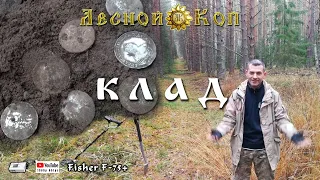 Вот это мы нашли! Клад коллекционных рублей?