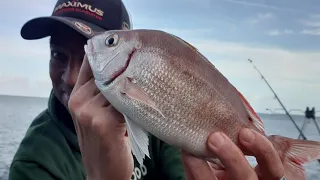 PECHE à fond aux vers du bord en mer