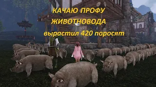 ArcheAge: Моя майнинг ферма , выращиваю поросят получил 22000 фарша