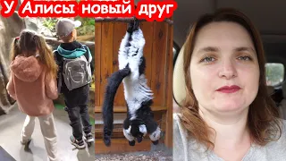 VLOG 4й день в лагере. Вспухшая курица. Паркур