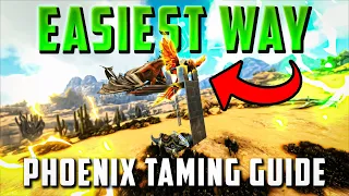The EASIEST Way To Tame A Phoenix SOLO!⎮Taming Guide⎮ARK: Survival Evolved