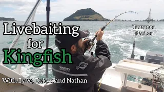 Livebaiting for Kingfish with Dave, Dekyn and Nathan [ Tauranga Harbour ]