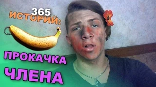 365 Историй: Прокачка члена / Андрей Мартыненко