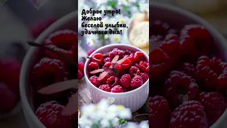 🌺 Доброго Летнего Утра ☕ 🍫Хорошего Счастливого Дня ☀️🍓🦋🤗♥️🍒💯