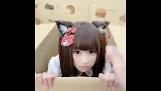 Nekopara - Chocola Box Cosplay