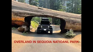 Overlanding In Sequoia national park In our