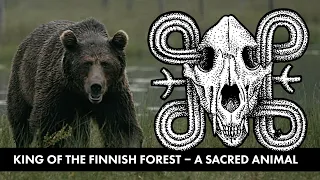 Bear in Finnish mythology – a sacred animal