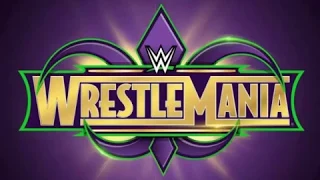 Wrestlemania 34 highlights