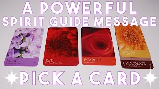 A Powerful Message From Your Spirit Guides ✨ Pick A Card ✨ Tarot Reading