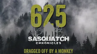 SC EP:625 Dragged Off By A Monkey