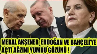 Dolar 14 TL'ye dayandı ! Meral Akşener Erdoğan ve Bahçeli'ye açtı ağzını yumdu gözünü !