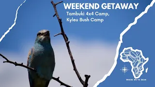 Tambuki 4x4 Camp | Sondela Nature Reserve | Kyleu Bush Camp | Dinokeng Game Reserve