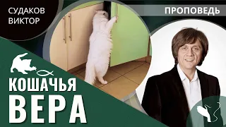 Виктор Судаков | Кошачья вера | Проповедь