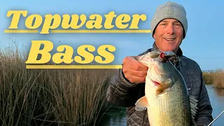 Favorite Top Water Bass lure. ACTION FOOTAGE!