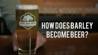 How Does Barley Become Beer?