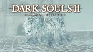 Dark Souls 2. Soul level 1. Invisible Aava fight! First Try?