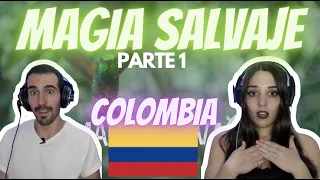 REACCIONANDO A: MAGIA SALVAJE, COLOMBIA 🇨🇴  PARTE 1 *ESTO VA A SER INCREIBLE* 😍