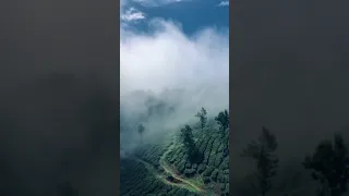 Munnar travel WhatsApp status