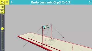 Gymnastics - “Endo” on High Bar