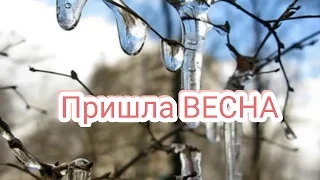 Первый день весны 2017