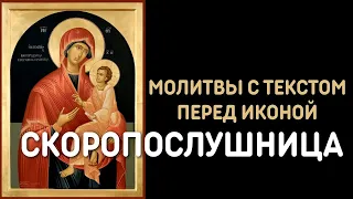 Молитвы Пресвятой Богородице перед иконой Скоропослушница - тропарь, кондак, молитва