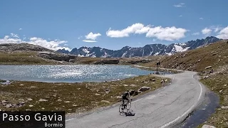 Passo Gavia (Bormio) - Cycling Inspiration & Education