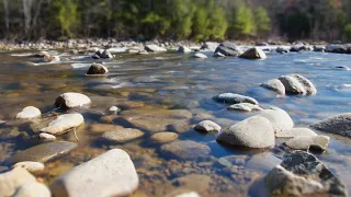 river coming ,,, our farmers  are welcoming the river with ghenri pali ( Raj.)