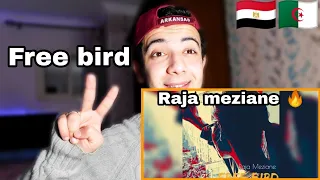 Raja Meziane - Free Bird - Freestyle [Prod by Dee Tox] reaction