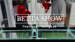 Betta Show in Thailand 2019