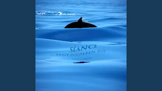 Blue Dolphin Blue (Remix)