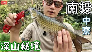 叢林秘境溪釣！點多到釣不完！不用遼K就能釣到深山巨捲！ #乾隆皇釣魚趣 #路亞 #捲仔 #深山 #秘境