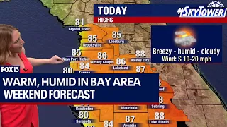 Tampa weather: Humid in Bay Area on Saturday