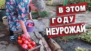 Мамин огород. Экстремальная прогулка на старых велосипедах.