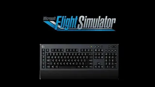 FS2020: Flying Using the Keyboard Only?? + My settings and Tips!