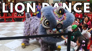 Chinese New Year 2024 Lion Dance, San Mateo Hillsdale Mall