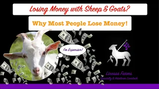 Most of You Will Lose Money Part 1: Raising Sheep or Goats for Profit. What They Won't Tell You