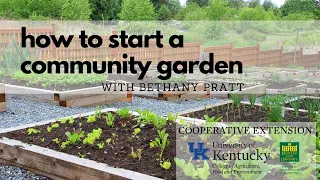How to Start a Community Garden