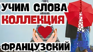 ФРАНЦУЗСКИЙ ЯЗЫК ВСЕ КУРСЫ СЛОВА ДЛЯ НАЧИНАЮЩИХ С НУЛЯ